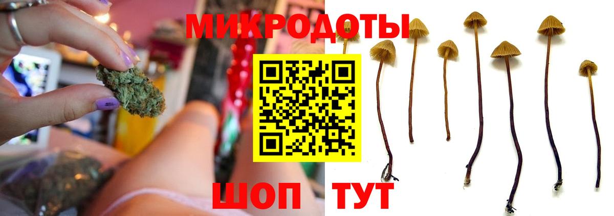 Псилоцибиновые грибы прущие грибы Зеленокумск